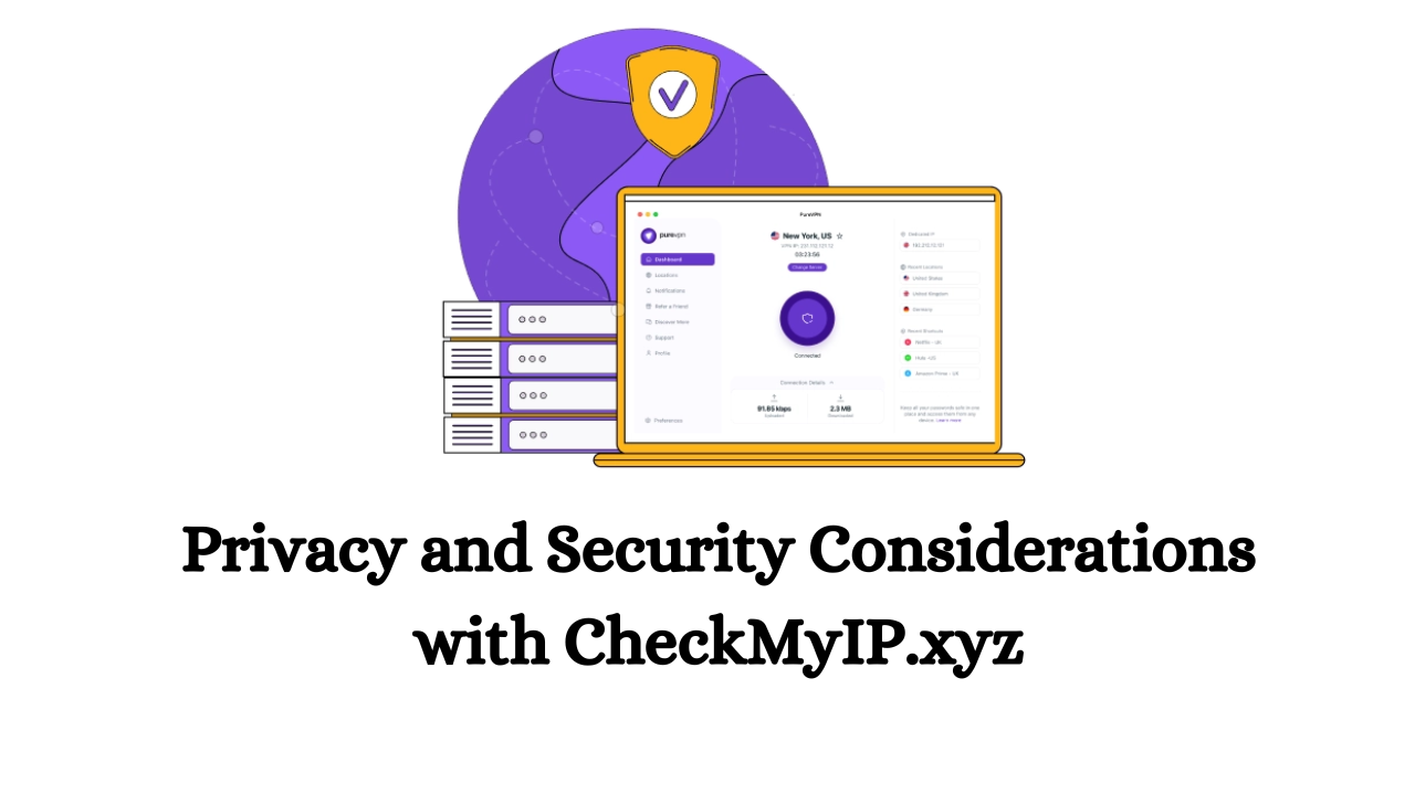 Privacy and Security Considerations with CheckMyIP.xyz